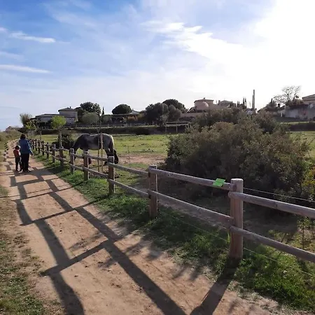 La Bastide En Front D'etang De Thau *