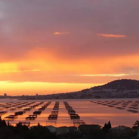 公寓 La Bastide En Front D'etang De Thau