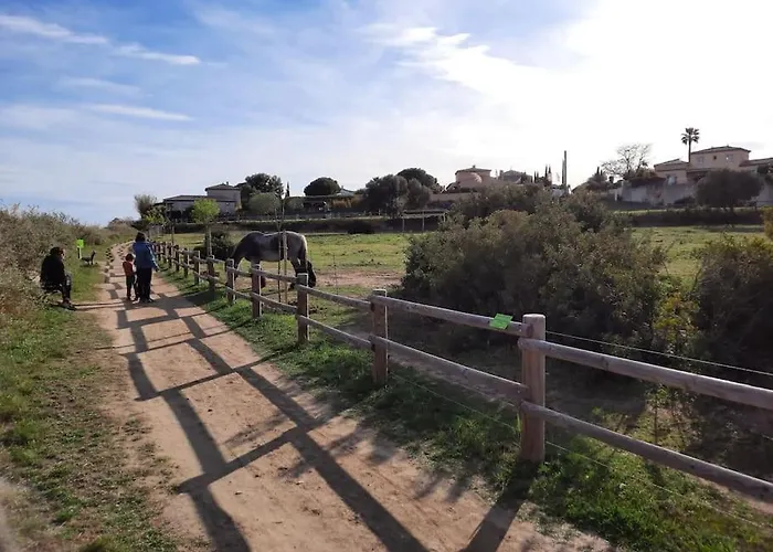 La Bastide En Front D'etang De Thau *